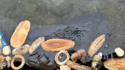 Rize’de kimliği belirsiz kişiler tarafından denize dökülen ekmek, simit ve