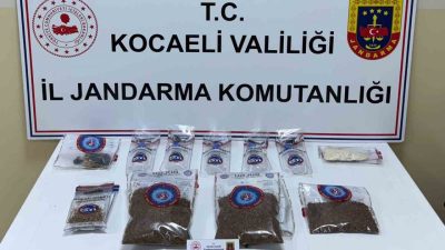 Kocaeli’nin İzmit ve Başiskele ilçelerinde jandarma narkotik timlerince zehir tacirlerine