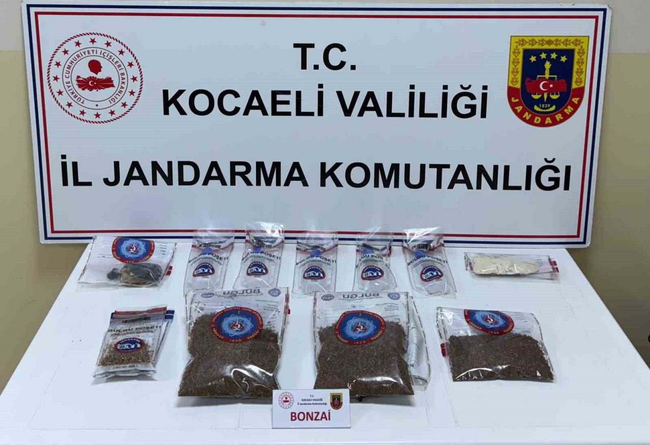 Kocaeli’nin İzmit ve Başiskele ilçelerinde jandarma narkotik timlerince zehir tacirlerine