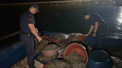 Zonguldak’ın Kilimli ilçesinde yasa dışı kalkan avcılığı yapan balıkçı teknesine