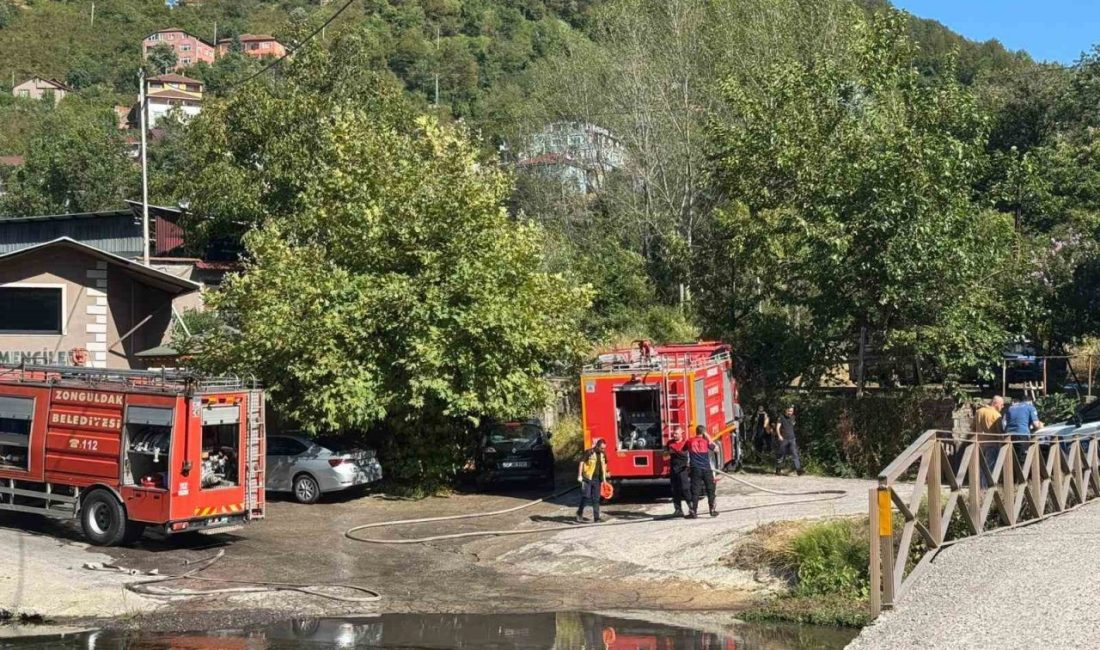 Zonguldak’ın Çaydamar Mahallesi’nde ormanlık alanda çıkan yangın, itfaiye ekiplerinin hızlı