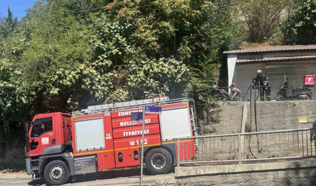 Zonguldak’ta ormanlık alanda çıkan yangın büyümeden söndürüldü. Edinilen bilgiye göre