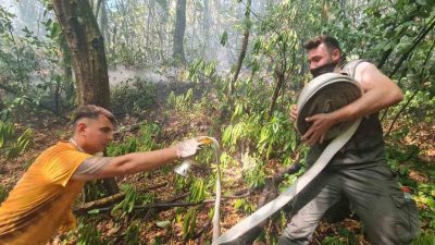 Zonguldak’ta, Ulutan Barajı mevkiinde çıkan orman yangını, ekiplerin hızlı müdahalesiyle