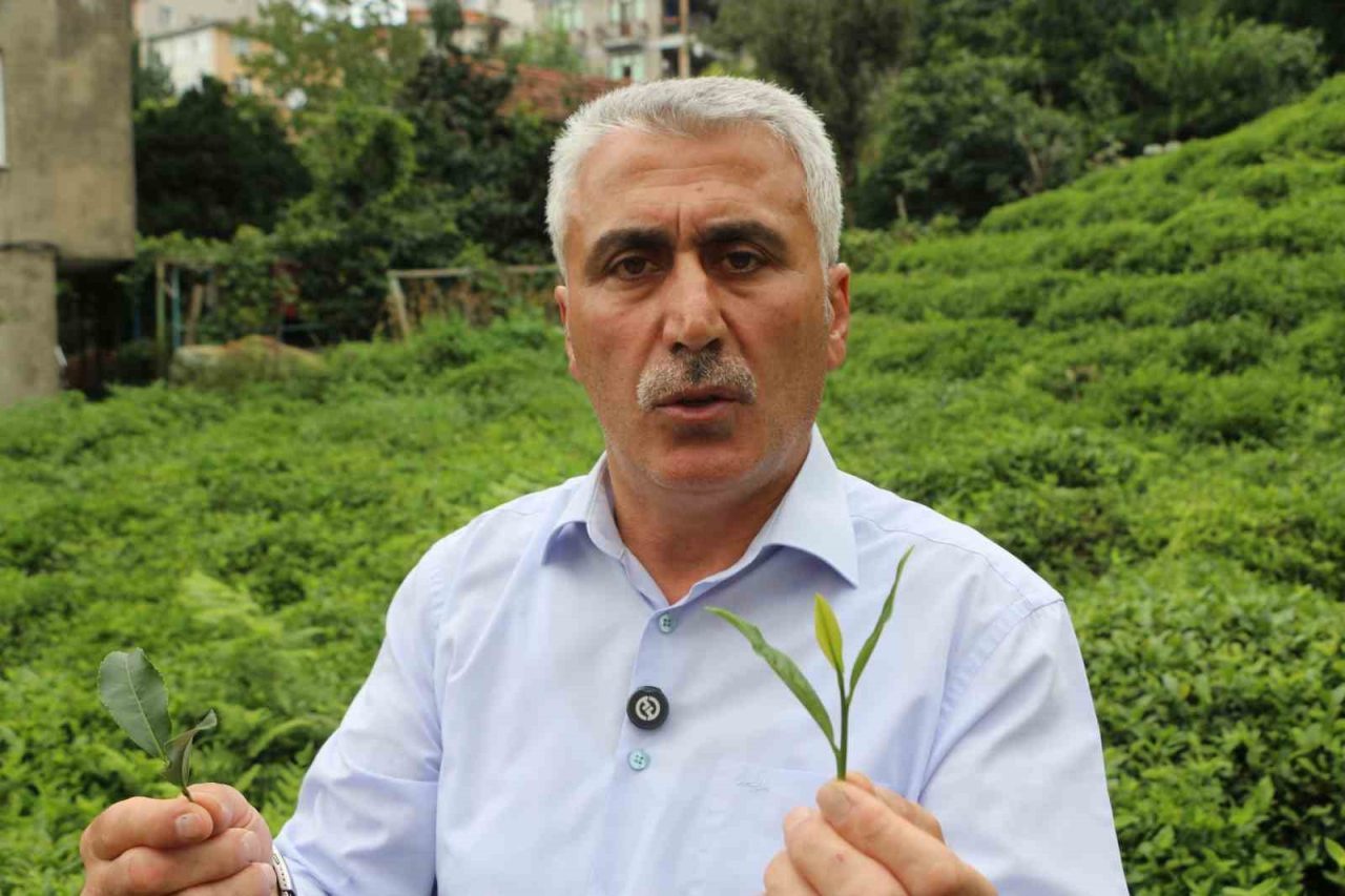 12 Eylül 1980 askeri darbesinde Rize’de henüz ilkokul öğrencisiyken çay