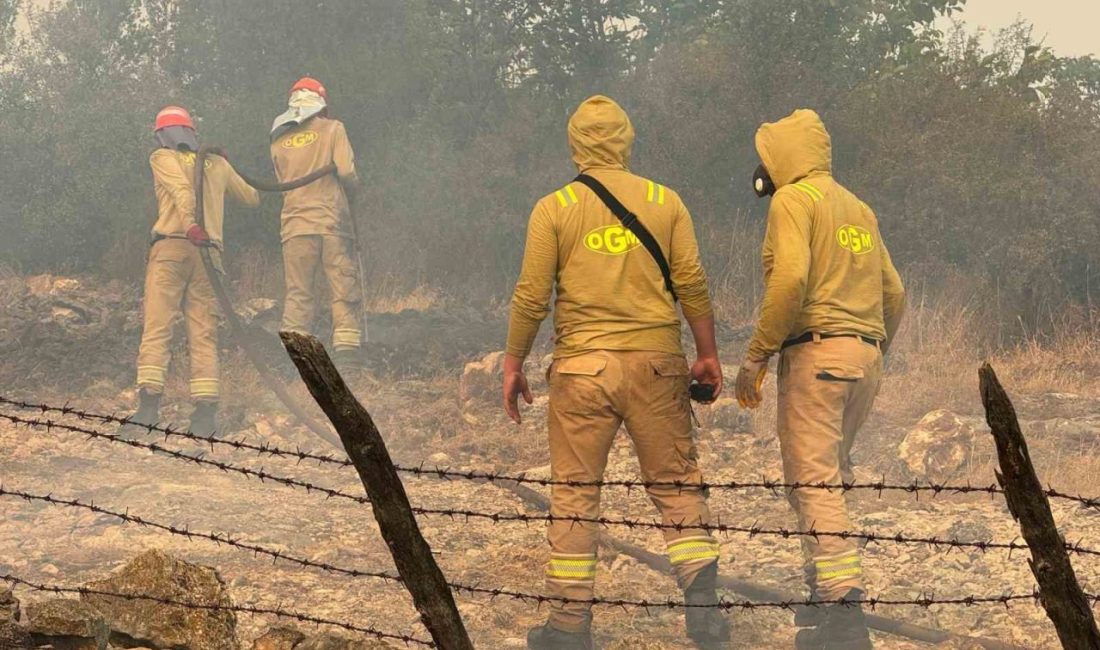 Kastamonu’nun Araç ilçesinde ormanlık alanda çıkan yangının sıçradığı köyde 1’i