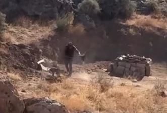 Sivas’ın Gemerek ilçesinde köpeğe şiddet uygulayan kişi gözaltına alındı. Olay,