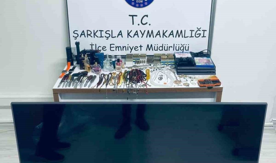 Sivas’ta 6 ayrı hırsızlık olayına karışan 2 kişi emniyet ekiplerince