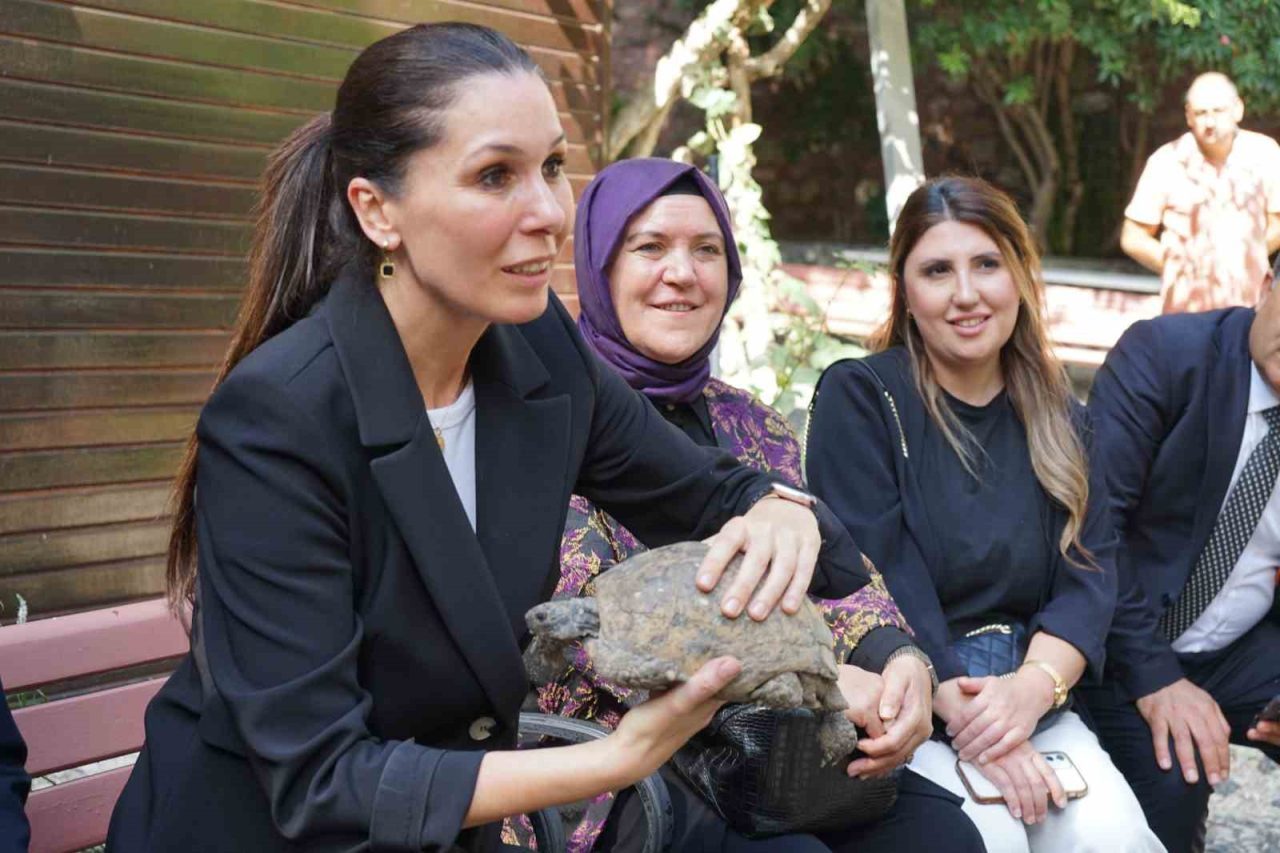 AK Parti Genel Başkan Yardımcısı Çiğdem Karaaslan, Türkiye Yüzyılı Buluşmaları