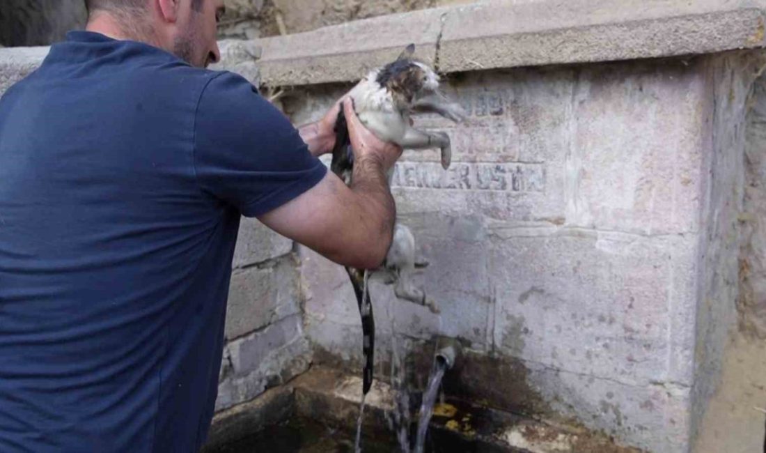 Erzurum’un Yakutiye ilçesine bağlı Kırmızıtaş Mahallesi’nde meydana gelen yangında alevler