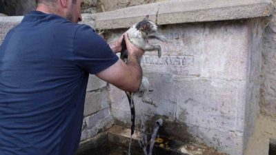 Erzurum’un Yakutiye ilçesine bağlı Kırmızıtaş Mahallesi’nde meydana gelen yangında alevler