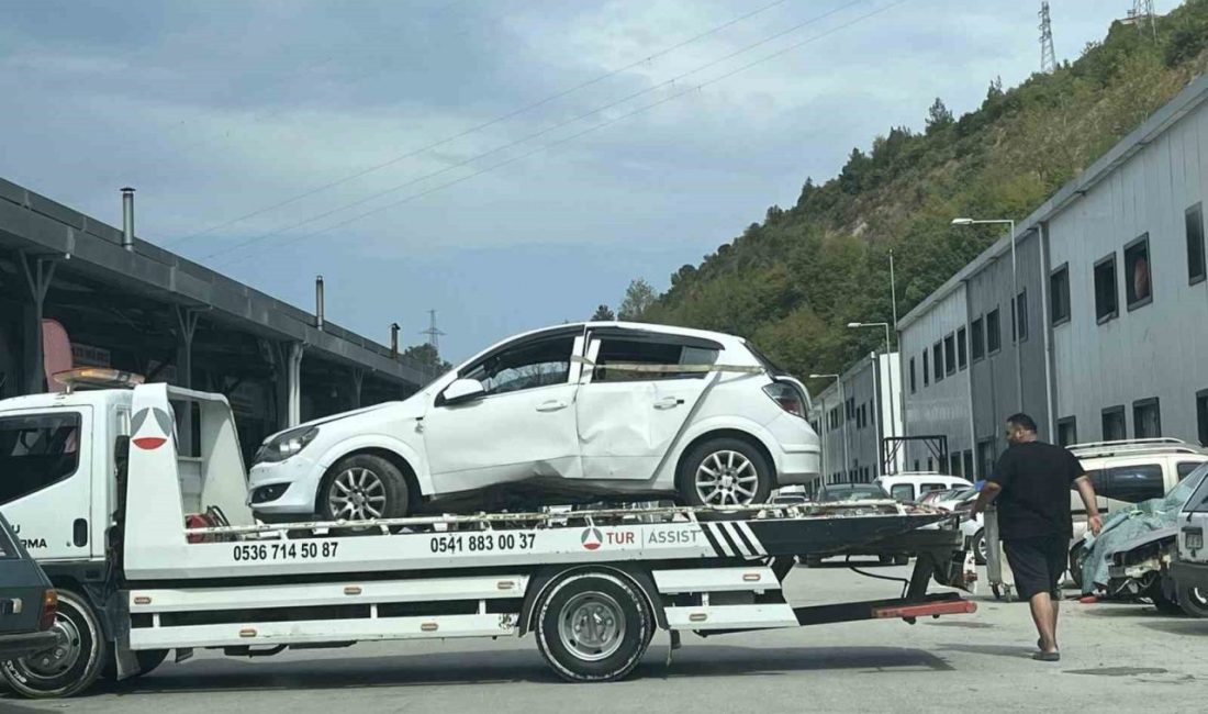 Kastamonu’nun Abana ilçesinde arı nedeniyle sürücünün kontrolü kayıp ettiği araç