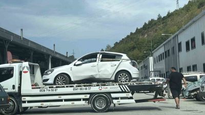Kastamonu’nun Abana ilçesinde arı nedeniyle sürücünün kontrolü kayıp ettiği araç