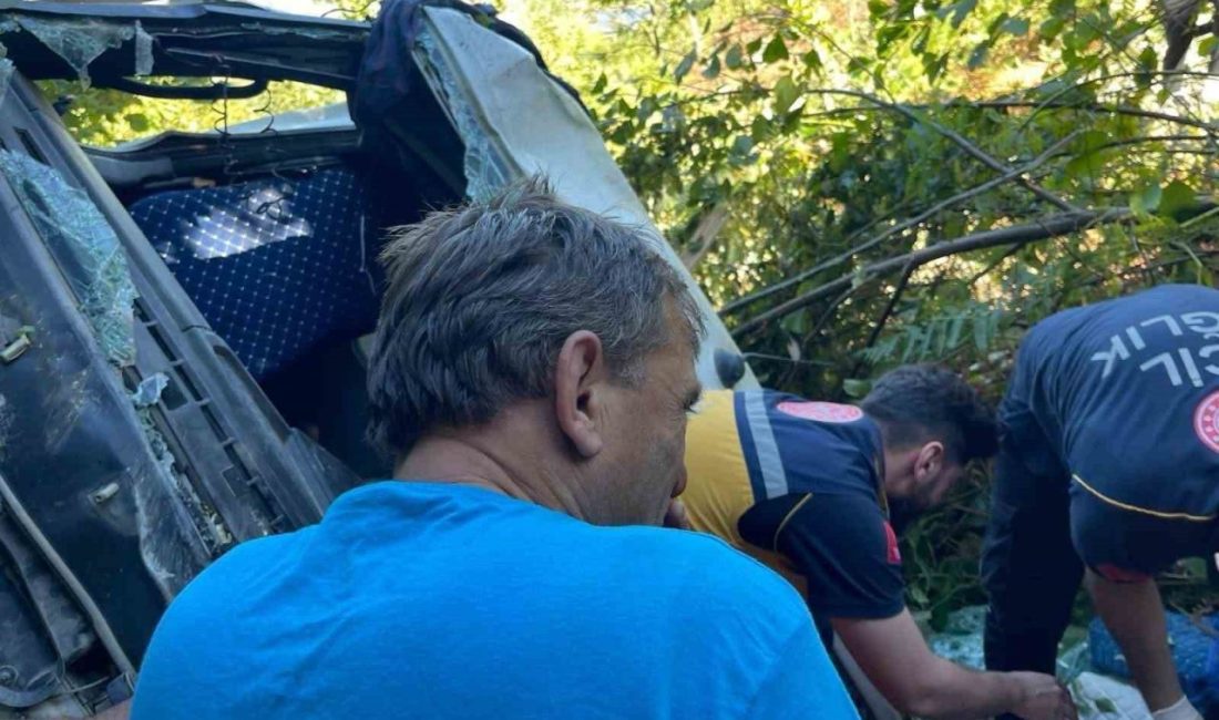 Artvin’in Murgul ilçesine bağlı Akantaş köyünde yol yapım çalışmasına giden
