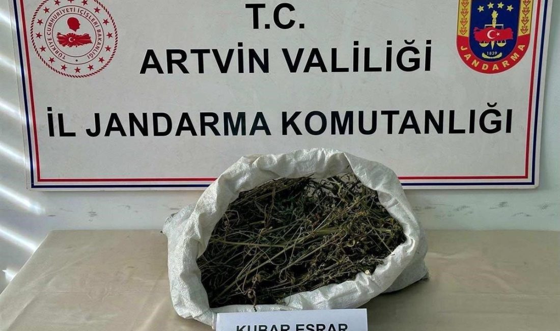 Artvin’in Hopa ilçesinde jandarma ekiplerince düzenlenen uyuşturucu operasyonunda, 1 kilo
