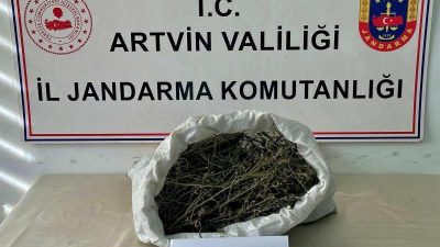 Artvin’in Hopa ilçesinde jandarma ekiplerince düzenlenen uyuşturucu operasyonunda, 1 kilo