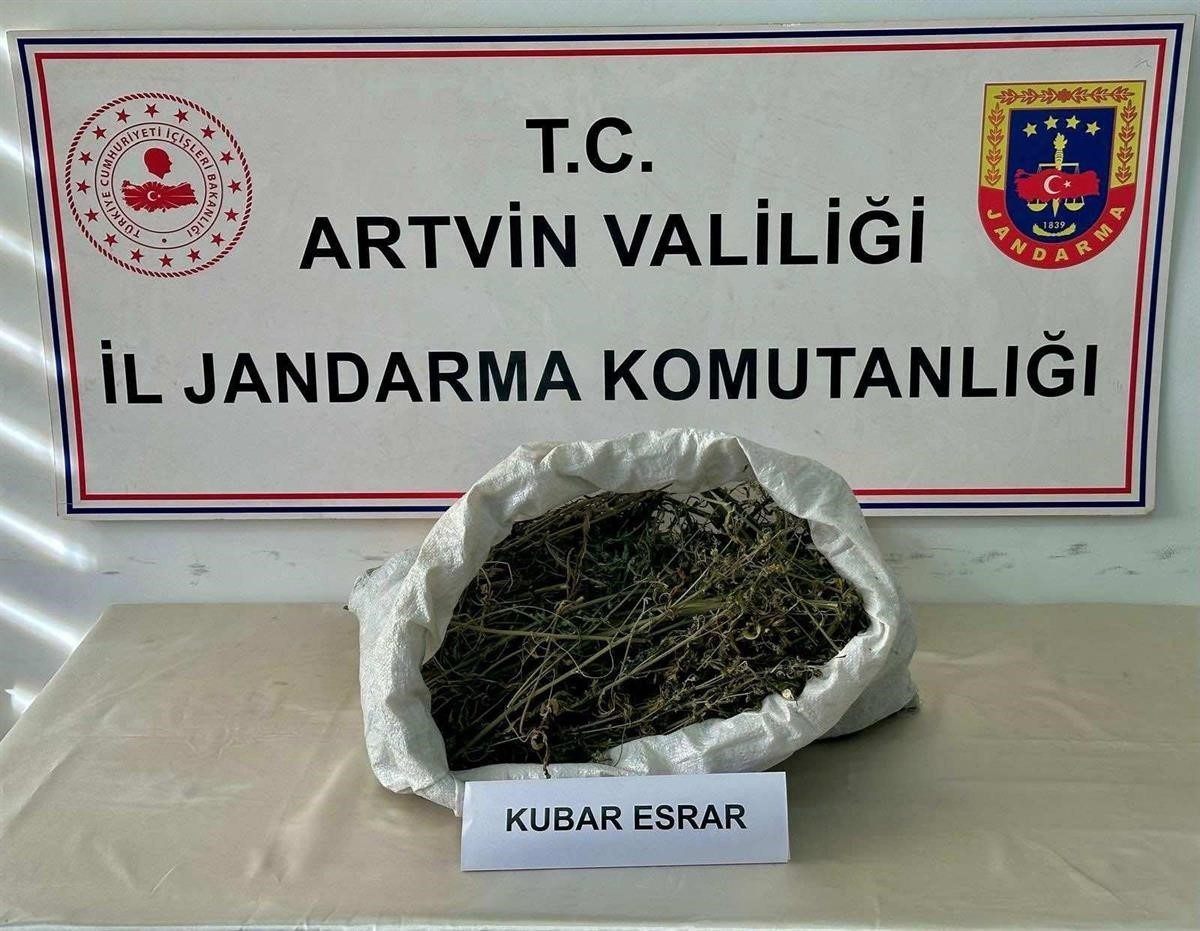 Artvin’in Hopa ilçesinde jandarma ekiplerince düzenlenen uyuşturucu operasyonunda, 1 kilo