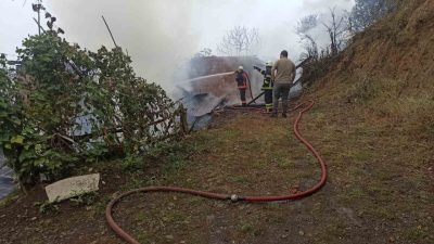 Artvin’in Borçka ilçesinde çıkan yangında 2 katlı 4 ev, tamamen
