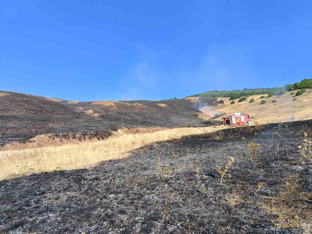 Aşkale’nin Güneyçam Köyü’nde çıkan anız yangınında 100 dönüm alan kül