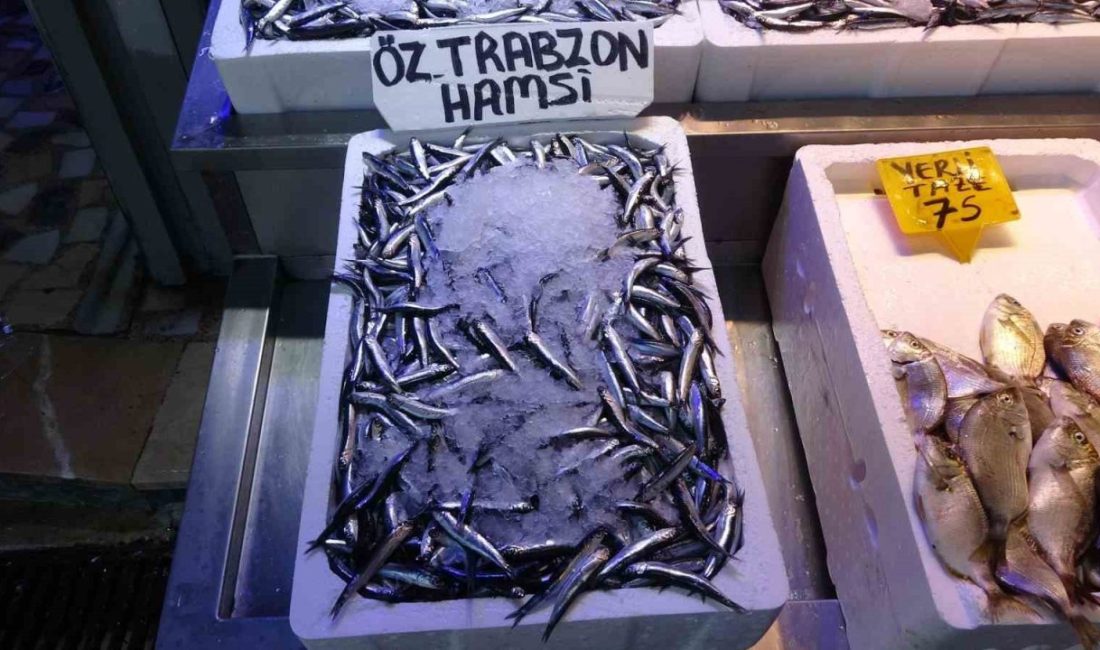 Denizlerde av sezonunun 1 Eylül’de başlamasının denize açılan balıkçılar, palamutta