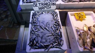 Denizlerde av sezonunun 1 Eylül’de başlamasının denize açılan balıkçılar, palamutta