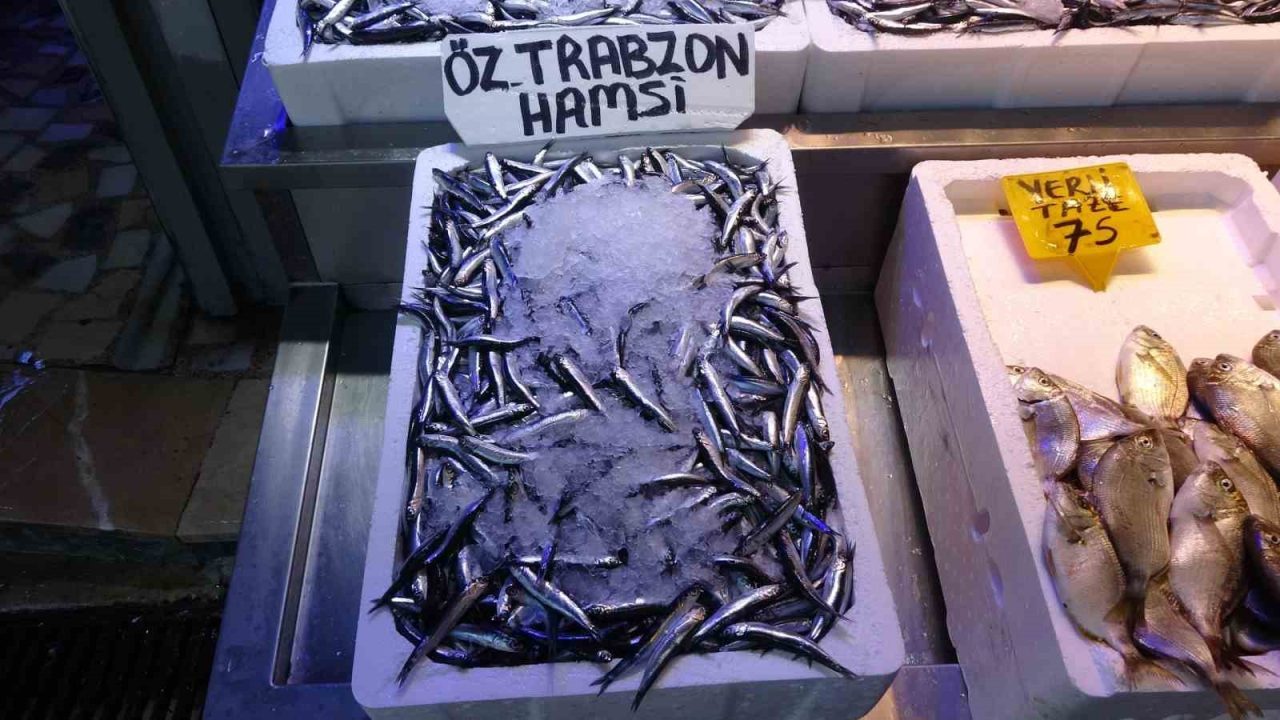 Denizlerde av sezonunun 1 Eylül’de başlamasının denize açılan balıkçılar, palamutta