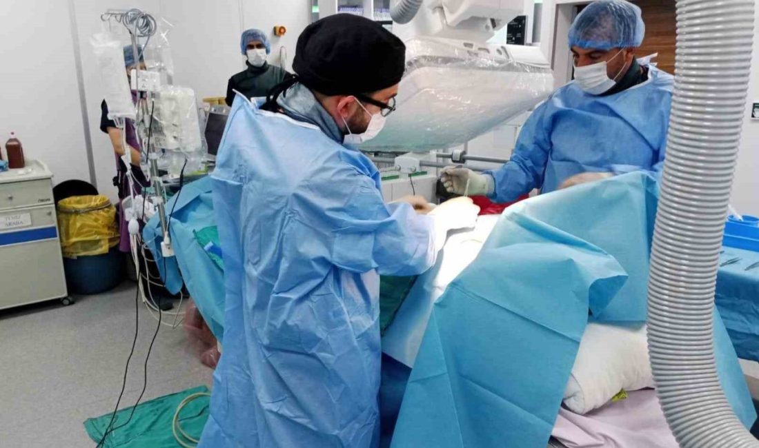 Bayburt Devlet Hastanesinde kalp yetersizliği ve ritim bozukluğu tedavisinde önemli