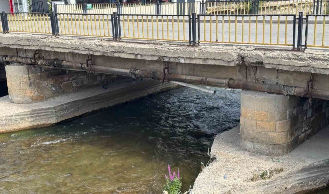 Bayburt Kent Konseyi Başkanı Eyyub Artar, şehrin en merkezi noktalarından