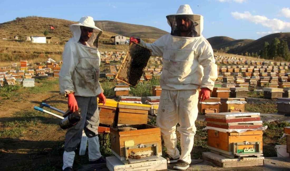 Bayburt’un Aydıntepe ilçesinde arıcılar bal sağımını sürdürüyor. Yüksek rakımda sürdürülen