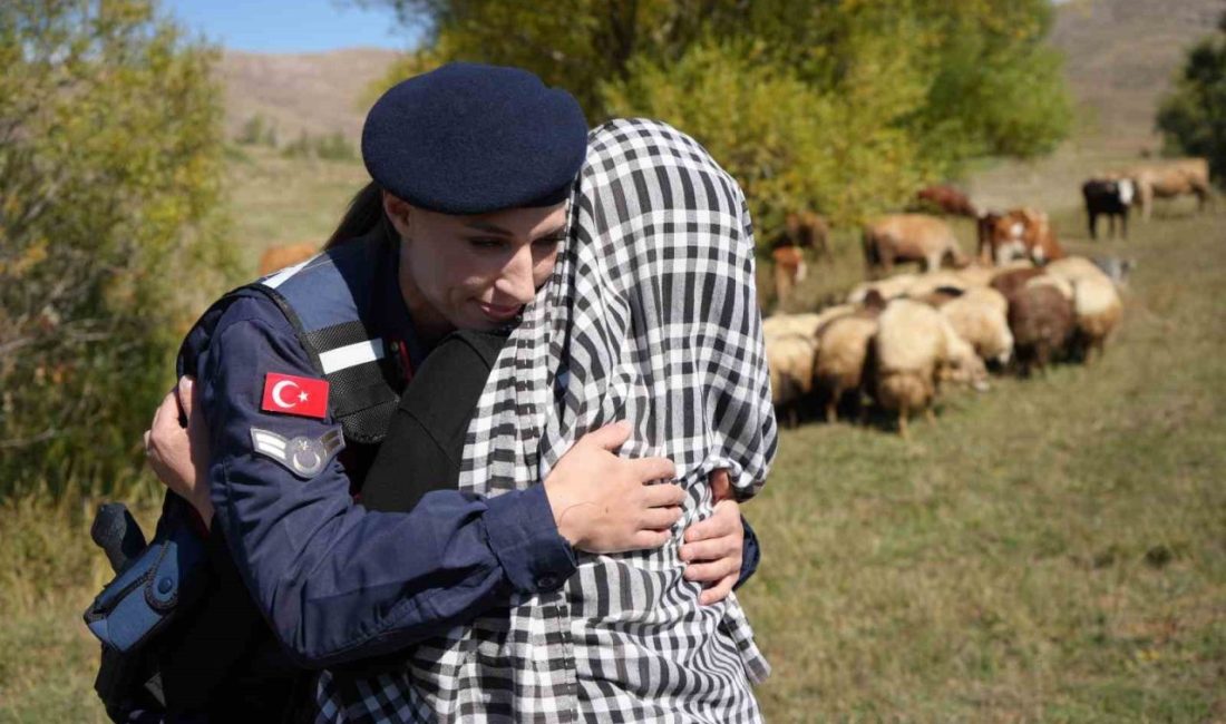 Bayburt’un Yaylapınar köyünde kaybolan 13 koyun, Bayburt İl Jandarma Komutanlığı