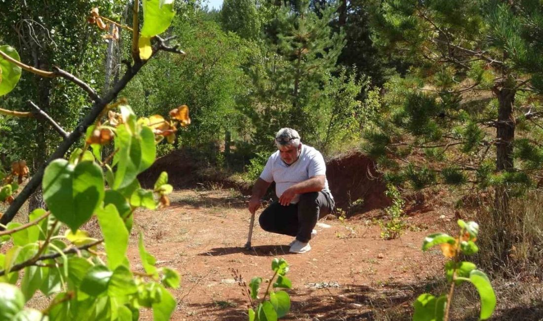 Bayburt’ta topraktan çıkarılan kehribar, binbir emekle takılara ve rengarenk tespihlere
