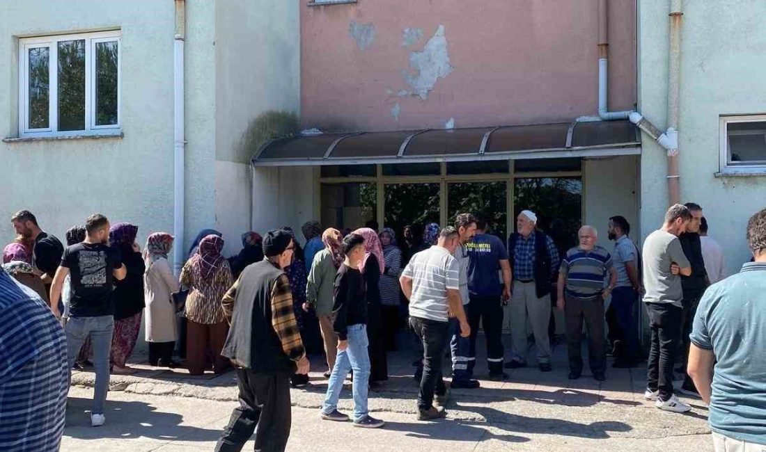 Zonguldak’ın Alaplı ilçesinde ceviz toplamak için çıktığı ağaçta elektrik akımına