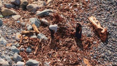 Rize’de hafta sonu yaşanan şiddetli yağışlar sonrasında derelerin Karadeniz’e taşıdığı