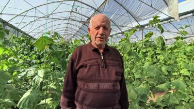 Erzurum’un Uzundere ilçesinde bulunan Doğu Anadolu’nun en büyük serasında yaz-kış