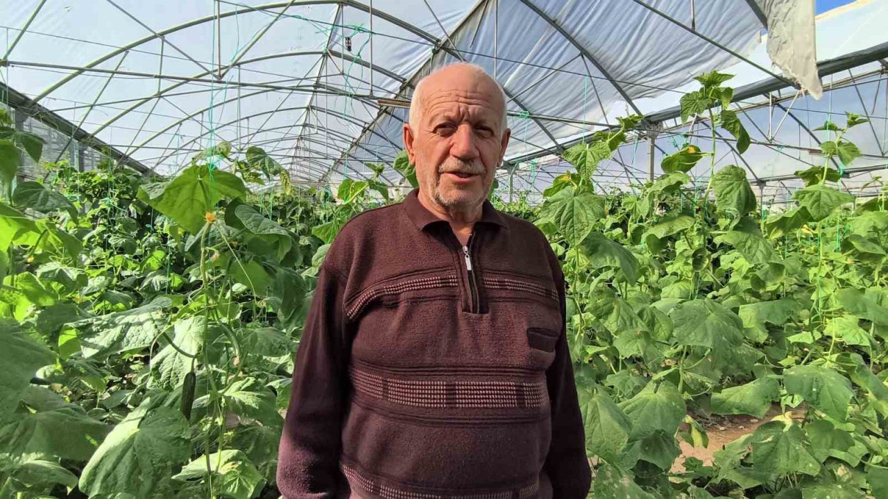 Erzurum’un Uzundere ilçesinde bulunan Doğu Anadolu’nun en büyük serasında yaz-kış