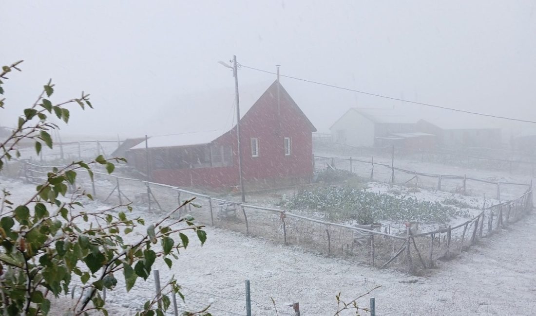 Doğu Karadeniz Bölgesi’nde 2 gündür sahil ve iç kesimlerde etkili
