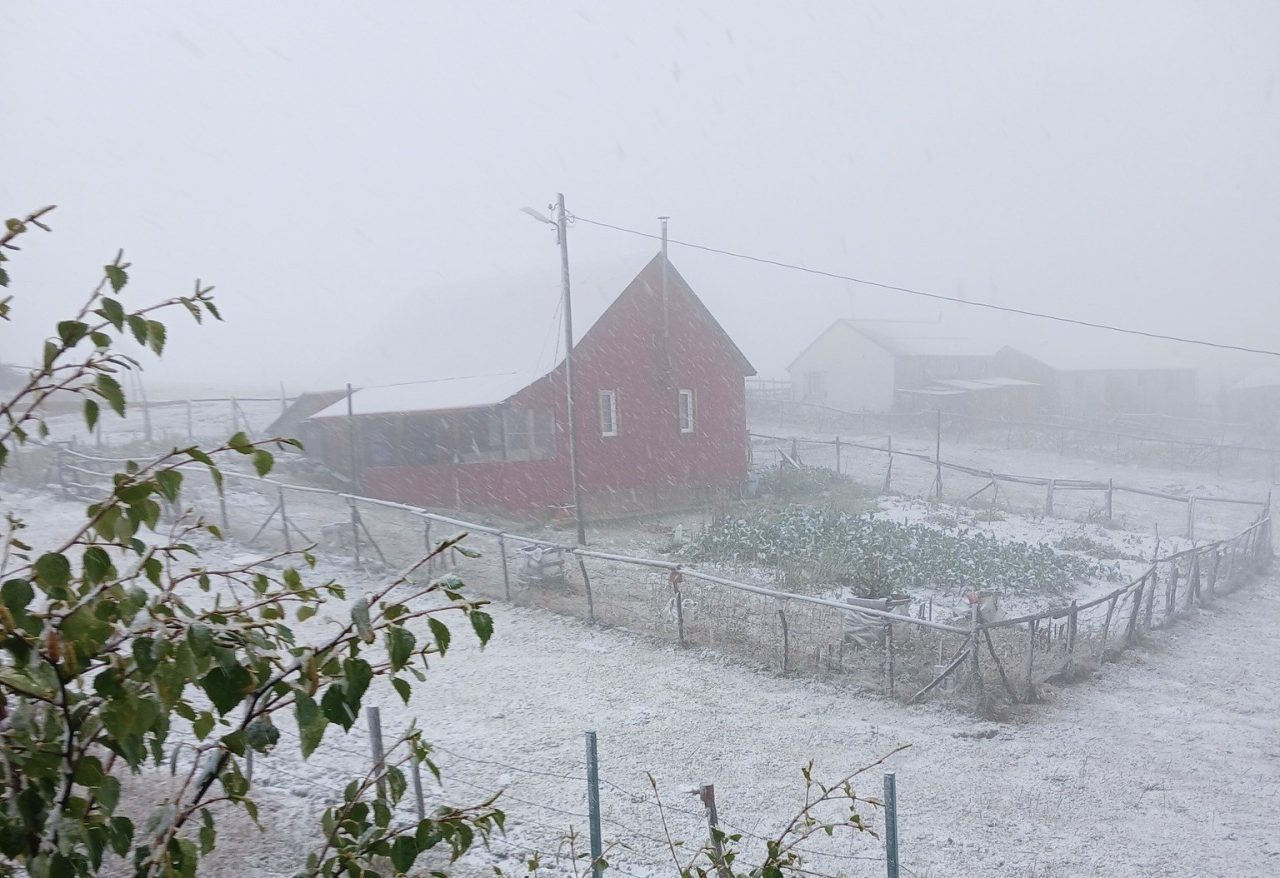 Doğu Karadeniz Bölgesi’nde 2 gündür sahil ve iç kesimlerde etkili