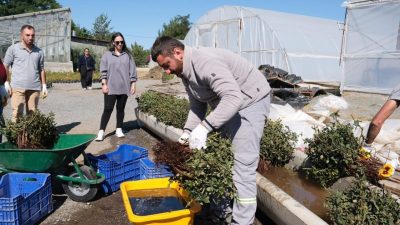 Erzincan Belediyesi Park ve Bahçeler Müdürlüğü ziraat mühendisleri tarafından yürütülen