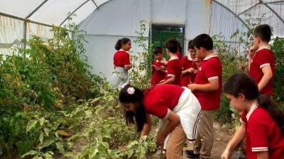 Tarım ve Orman Bakanlığı ile Millî Eğitim Bakanlığı arasında imzalanan