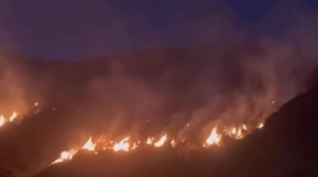 Erzincan’ın Refahiye ilçesi kırsalında kuru otların tutuşmasıyla başlayan örtü yangını