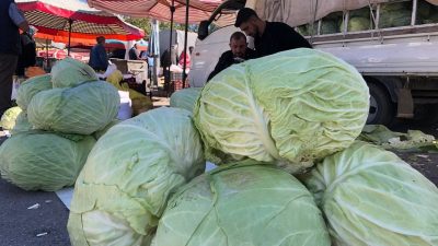 Erzincan’da kış aylarının vazgeçilmez lezzeti olan lahanalar tezgahlarda yerini aldı.