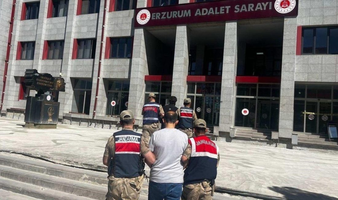 Erzurum’un Palandöken ve Hınıs ilçelerinde sosyal medya üzerinden terör propagandası
