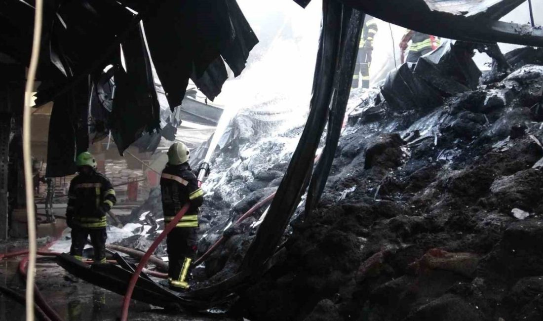 Erzurum’da Organize Sanayi Bölgesi’nde bulunan terlik hammaddesi fabrikasında yangın çıktı.