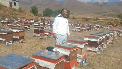 Erzurum’un Çat ilçesinde arıcılık yapan üreticiler, ayı saldırılarından dolayı büyük