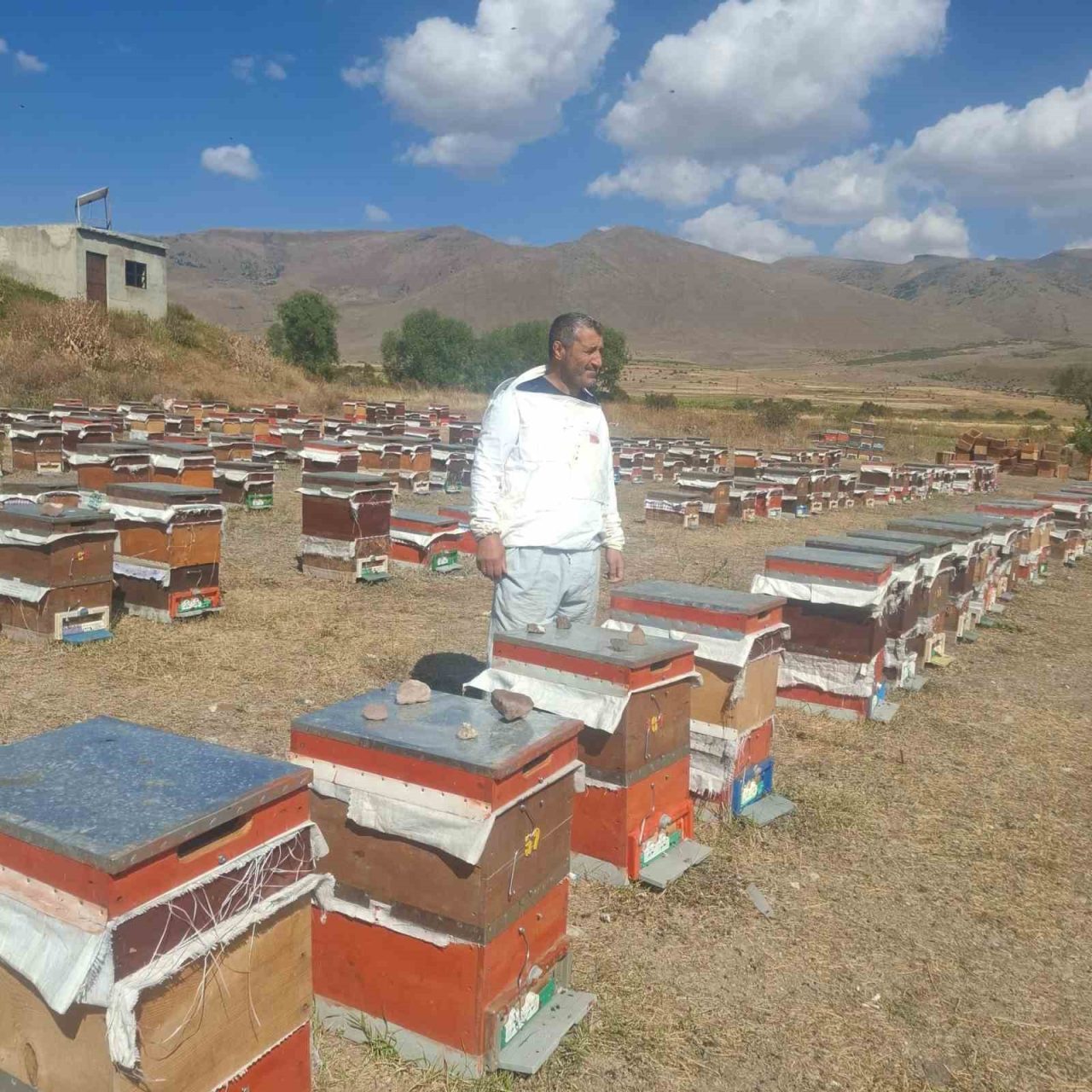 Erzurum’un Çat ilçesinde arıcılık yapan üreticiler, ayı saldırılarından dolayı büyük