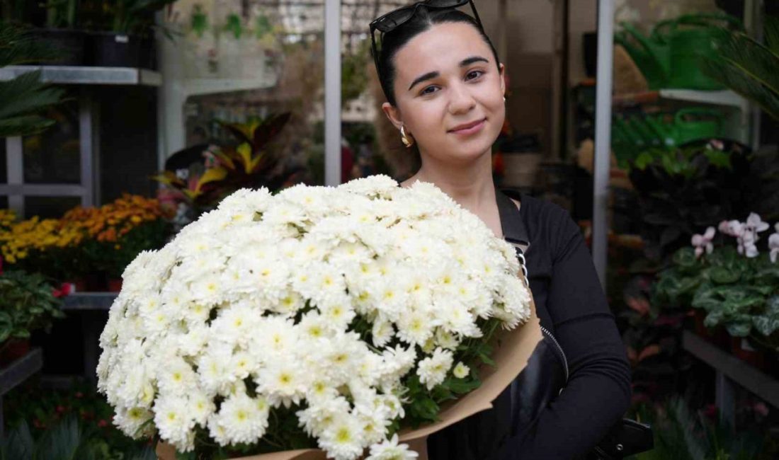 Sonbaharla birlikte kasımpatı ve sıklamen çiçeğine ilgi arttı. Bahçe ve