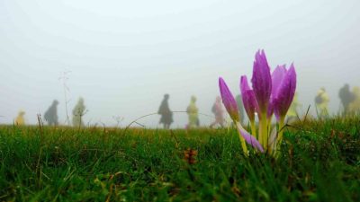 Gümüşhane ve Giresun’dan gelen 130 dağcı, Kürtün ilçesinin doğal güzellikleriyle