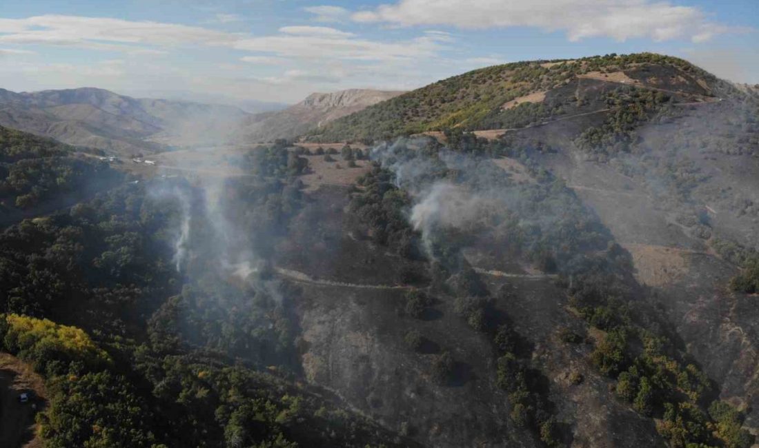 Gümüşhane’nin Kelkit ilçesinde çıkış sebebi henüz belirlenemeyen yangında yaklaşık 30