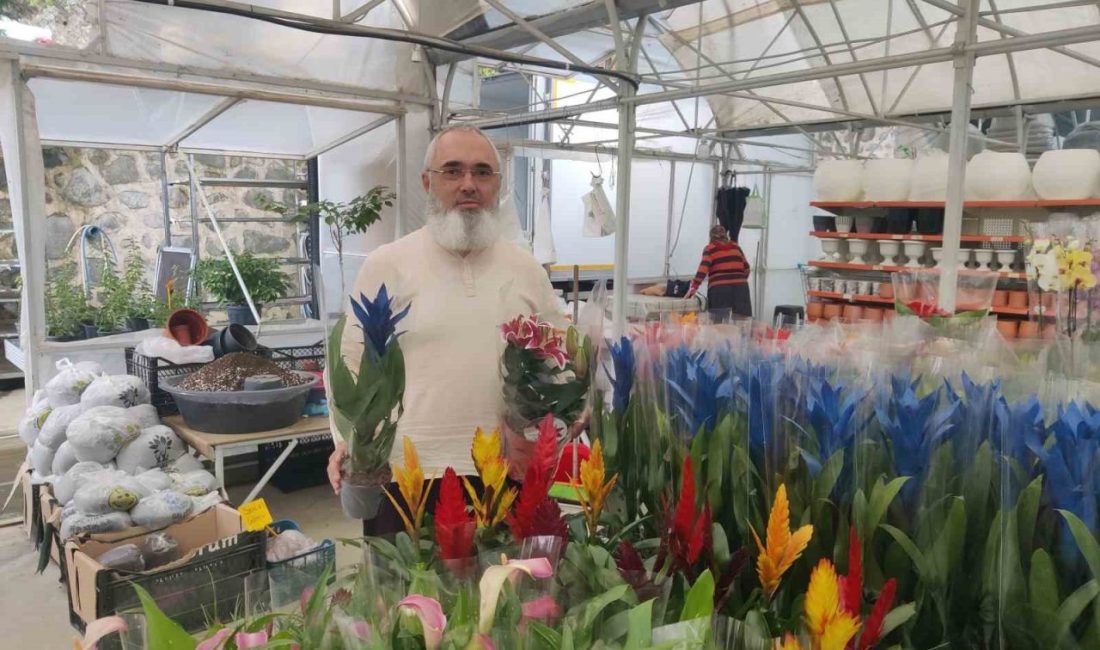 RİZE (İHA) – Almanya’da uzun yıllar yaşadıktan sonra memleketi Rize’ye