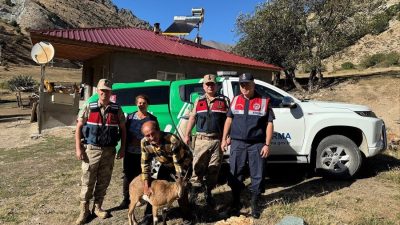 Erzincan’ın Üzümlü ilçesinde yaralı halde bulunan yaban keçisi jandarma ekiplerince