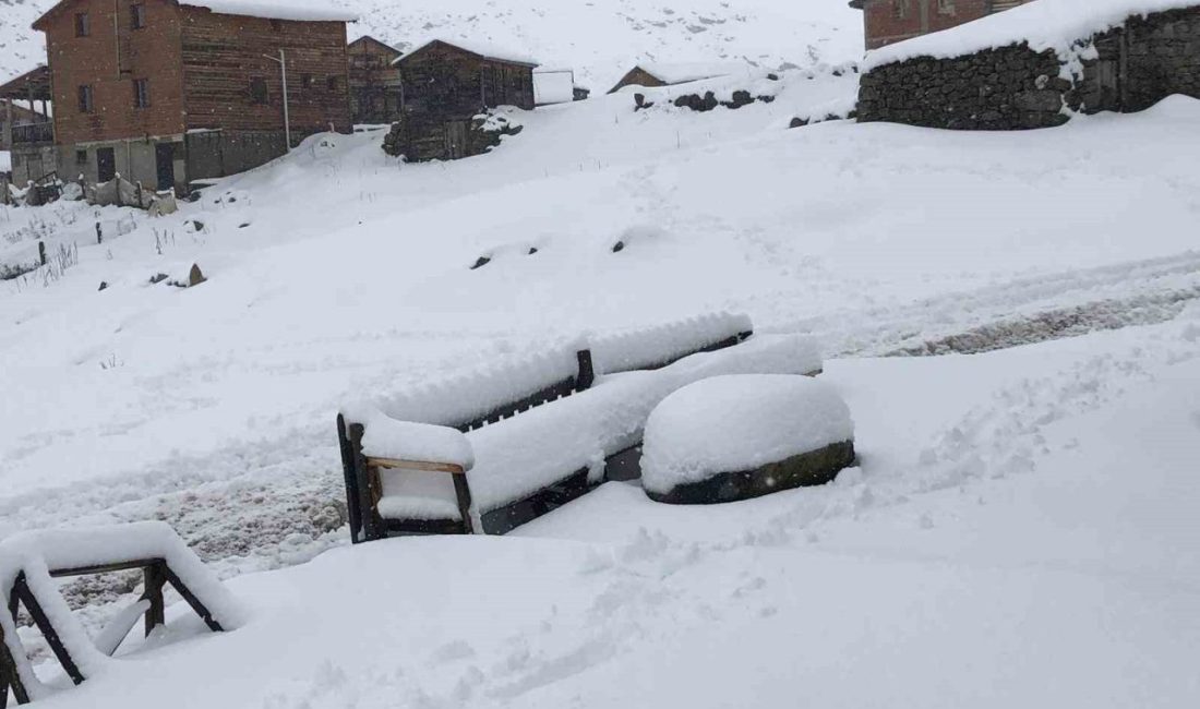 Rize’nin Çamlıhemşin ilçesine bağlı Kaçkar Dağları’ndaki Koçdüzü Yaylası’nda Eylü ayı